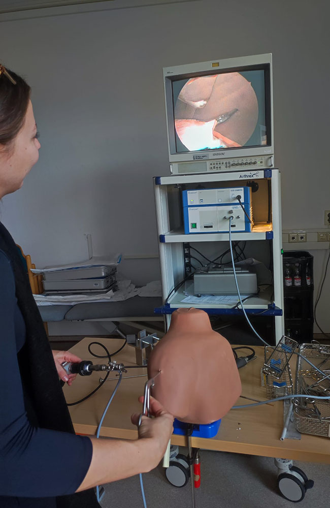 Arthroskopie am Schultermodell
